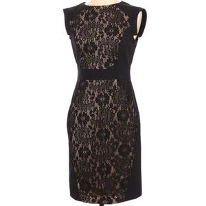 Adrianna Papell Black Lace Overlay Dress S…